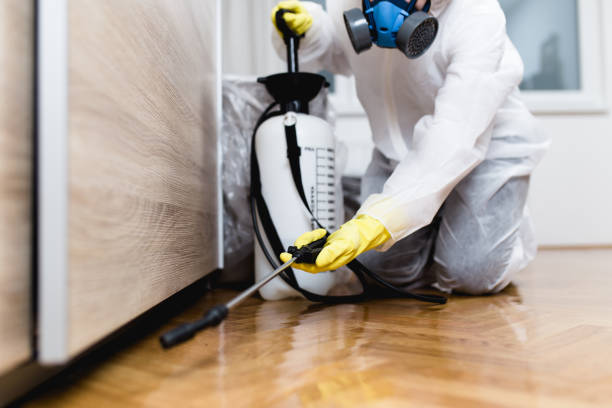 Best Pest Control for Homes  in Idalou, TX