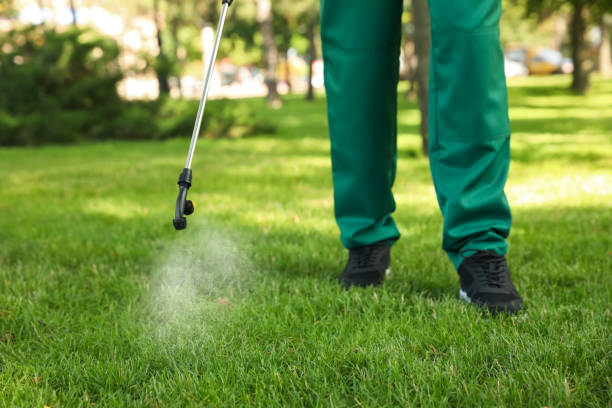 Best Rat Extermination Near Me  in Idalou, TX