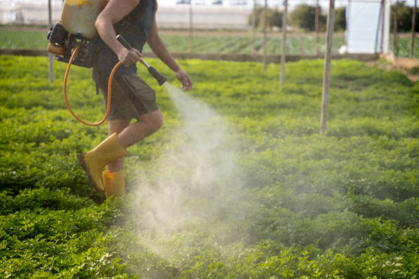 Best Mosquito Control Services  in Idalou, TX