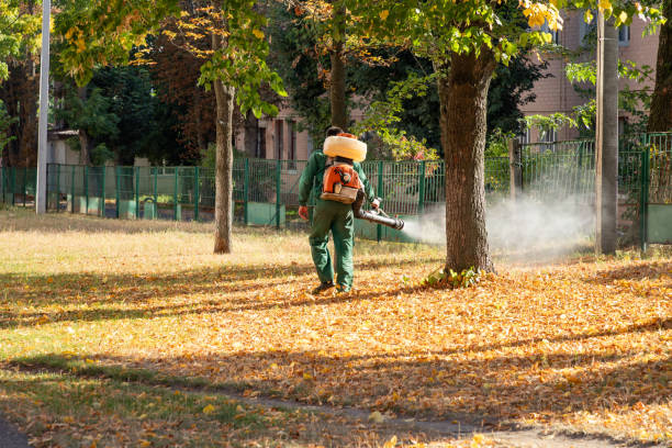 Reliable Idalou, TX Pest Control Solutions