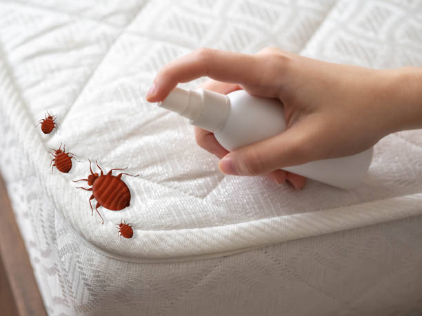 Best Pest Prevention Services  in Idalou, TX