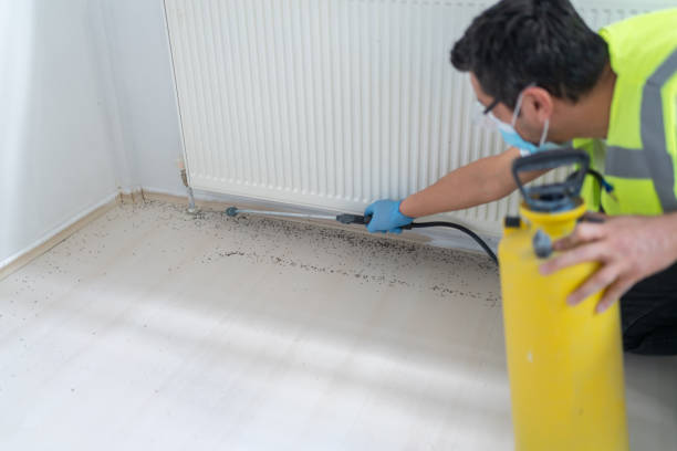 Best Wasp Removal Services  in Idalou, TX