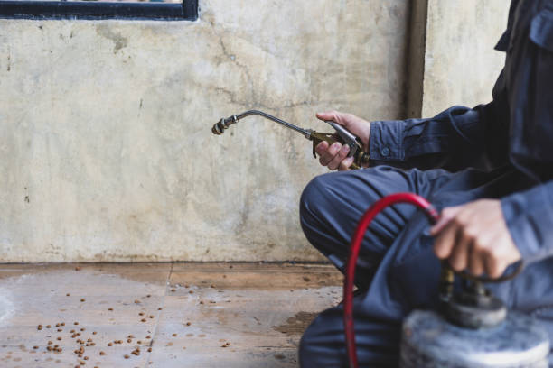 Best Affordable Pest Control Services  in Idalou, TX