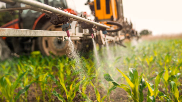 Best Commercial Pest Control Services  in Idalou, TX