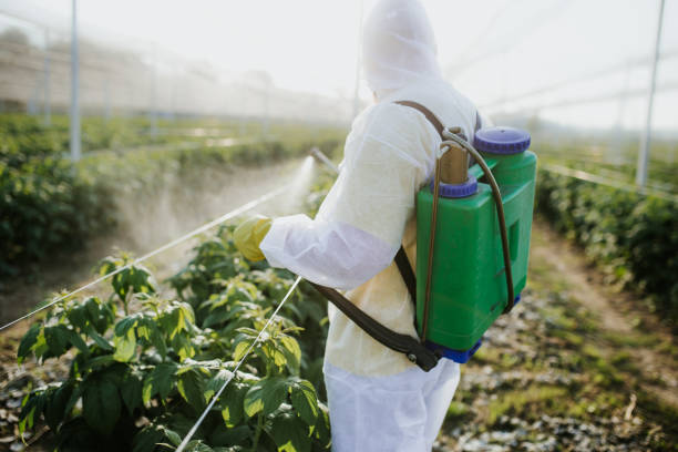 Best Ant Control Services  in Idalou, TX